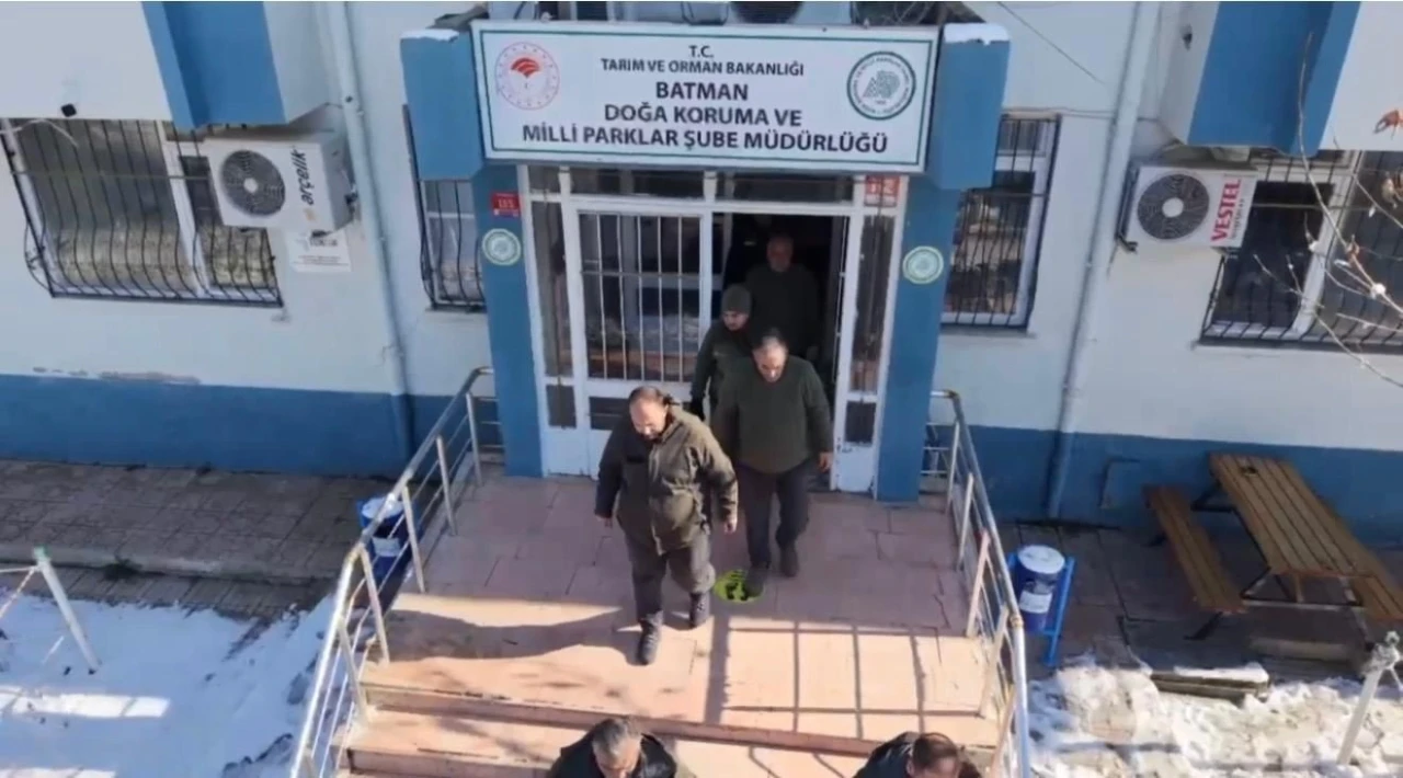 Batman&rsquo;da yaban hayvanları i&ccedil;in doğaya yem bırakıldı
