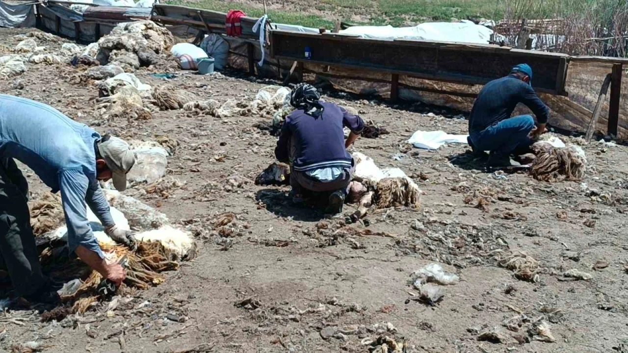 Batman’da yaylada kalan göçerler peynir üretiyor
