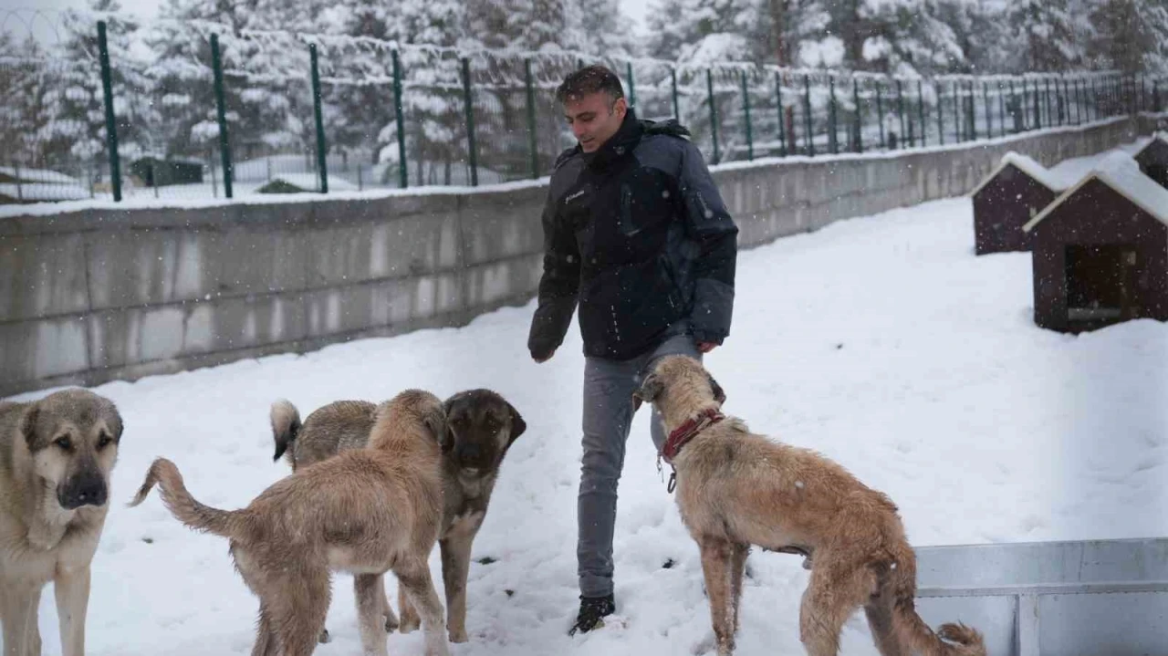 Battalgazi&rsquo;de Malatya&rsquo;nın ikinci hayvan barınağı hizmete başladı
