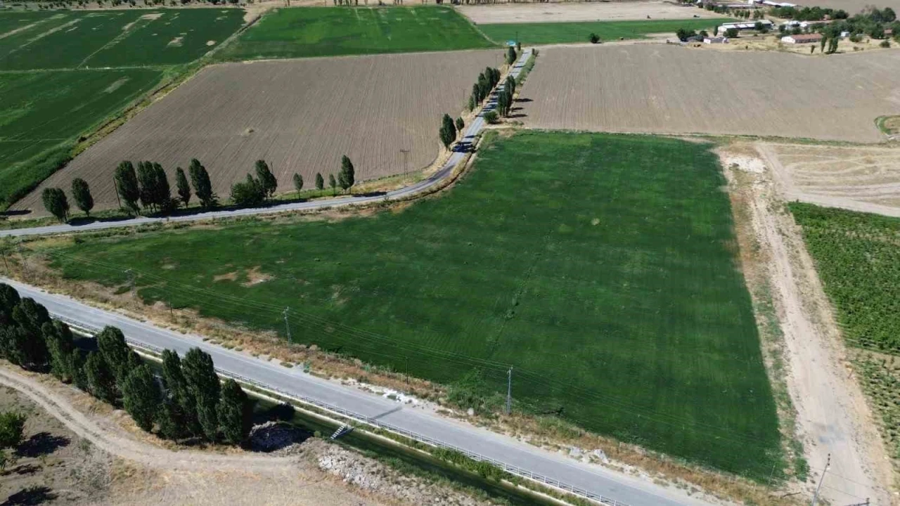 Battalgazi’de yerli üretimle yeşil alan seferberliği
