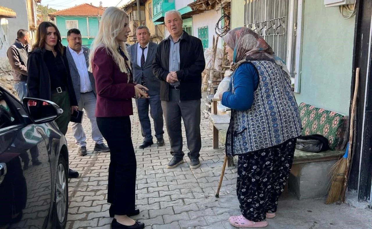 Bayan Kaymakam köy köy dolaşıyor
