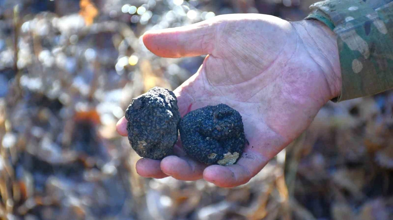 Bayburt ‘Kara Elmas’ ile tanışacak
