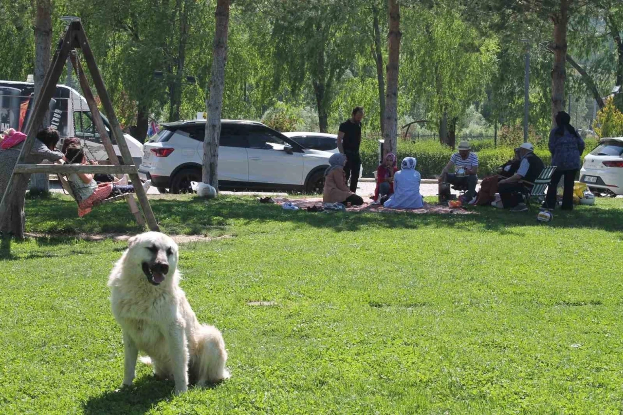 Bayburt’ta hafta sonu mesire alanları piknikçilerle doldu
