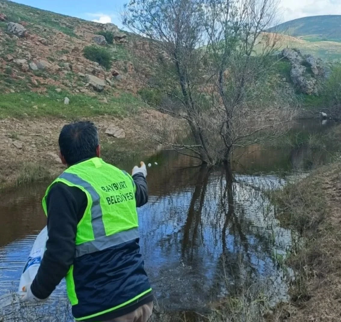 Bayburt&rsquo;ta larva ila&ccedil;laması ve temizlik &ccedil;alışmaları s&uuml;r&uuml;yor

