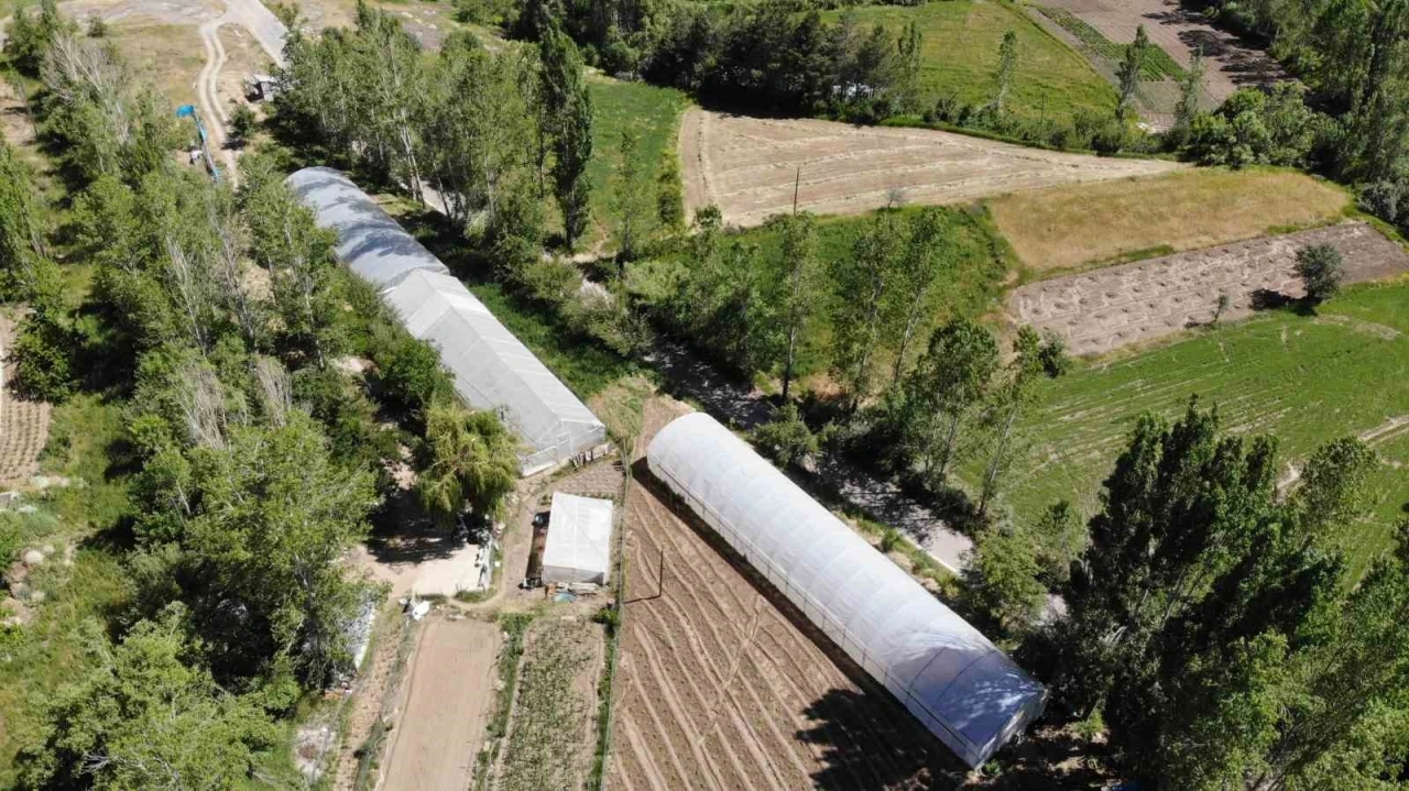 Bayburt&rsquo;ta y&uuml;zde 70 hibeli sera projesi i&ccedil;in başvurular yarın başlıyor
