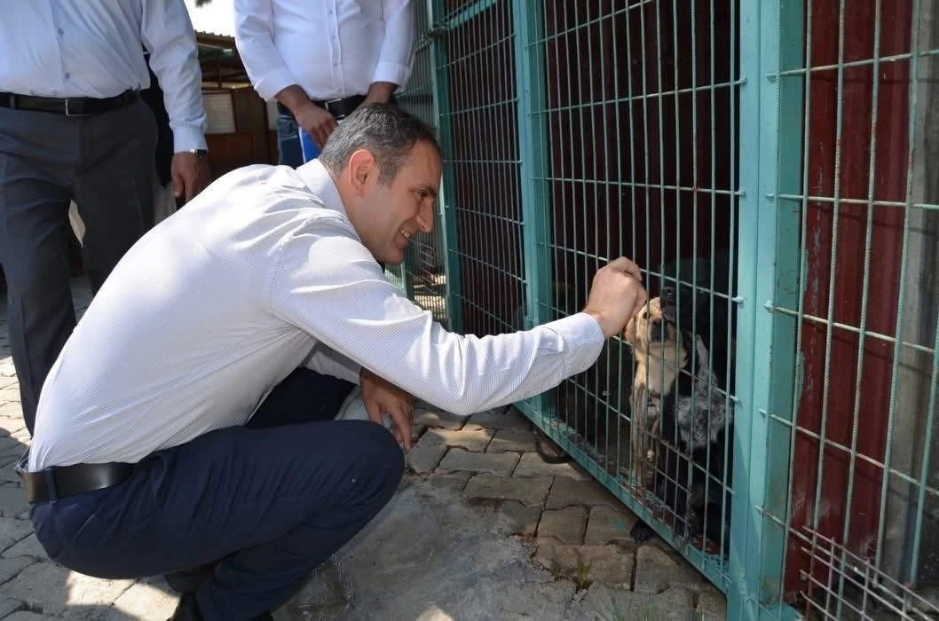 Bayındır&rsquo;da hayvan bakım evi ve doğal yaşam alanında inceleme
