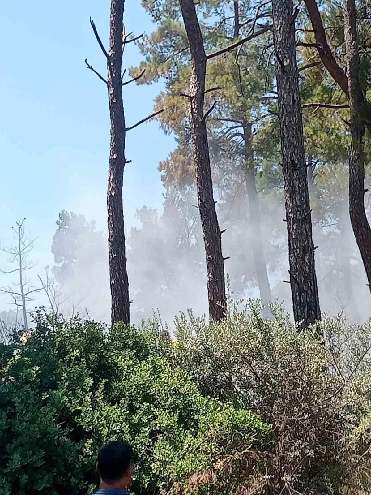 Bayındır&rsquo;da orman yangını kontrol altında
