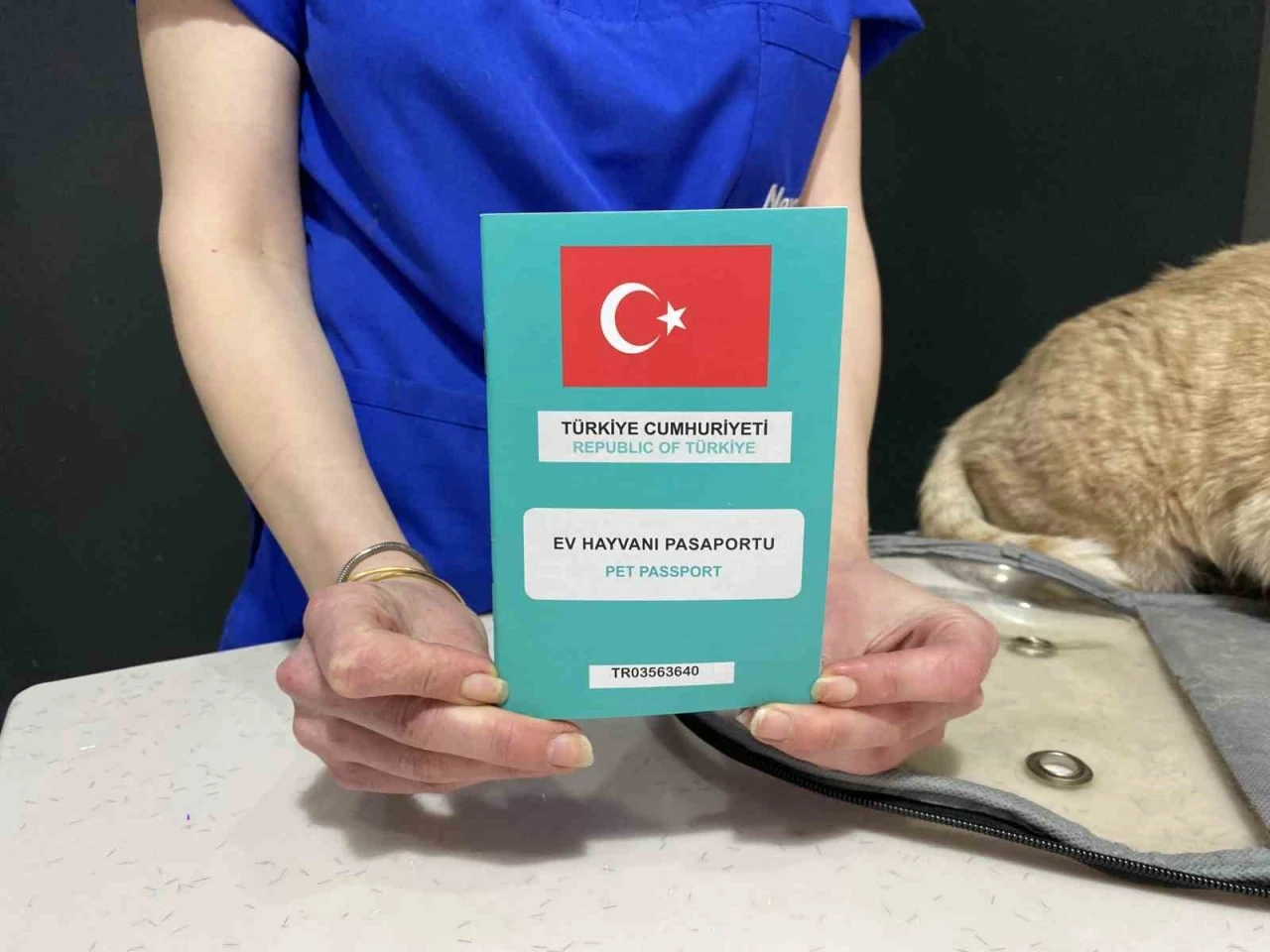 Bayramda evcil hayvan ile seyahat edecek yolcuların dikkat etmesi gerekenler
