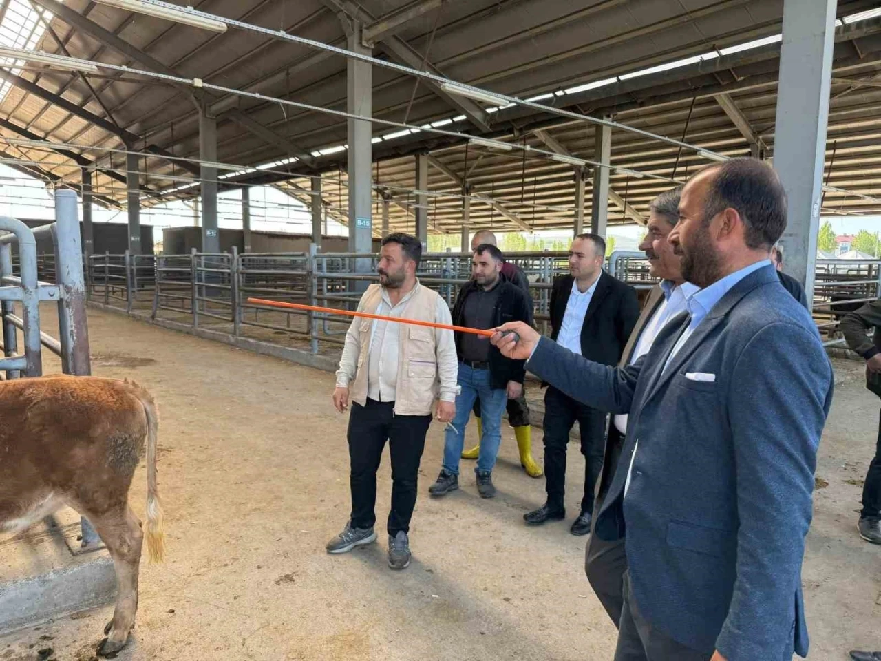 Belediye Başkanı canlı hayvan borsası ve et entegre  tesisinde incelemelerde bulundu.
