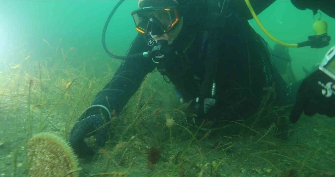 Belediye başkanı dalış yaptı, su altından m&uuml;jdeyle &ccedil;ıktı
