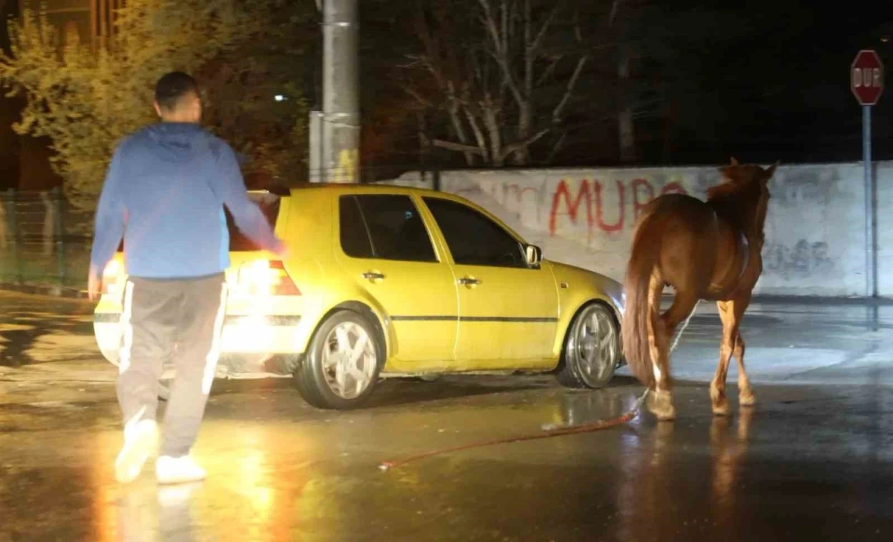 Belediyeden başıboş at ihbarı yapan vatandaşa &quot;Atı bağlayın, biz sabah ekip göndeririz&quot; cevabı
