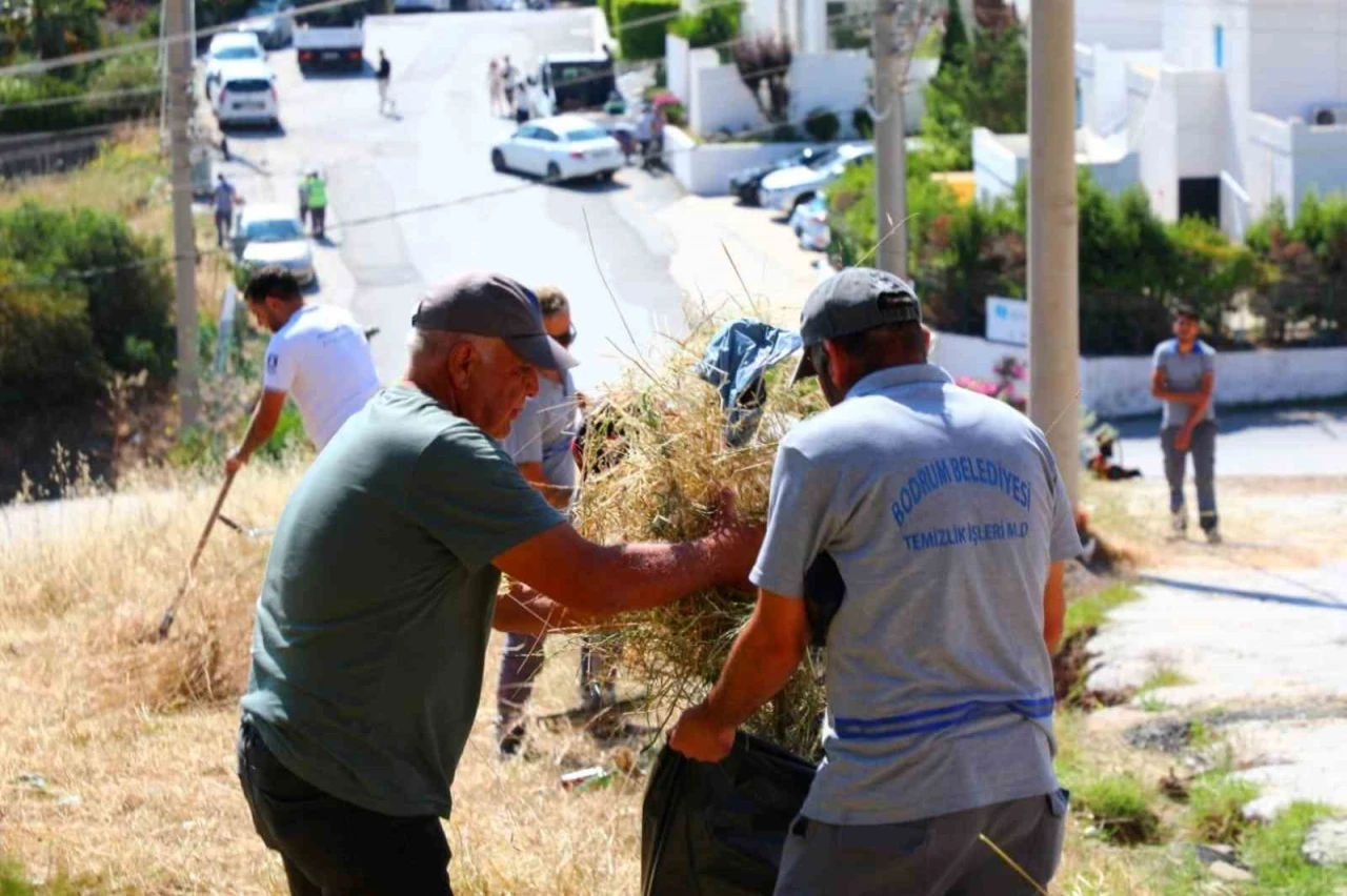 Belediyeden çevre temizliği çalışmaları
