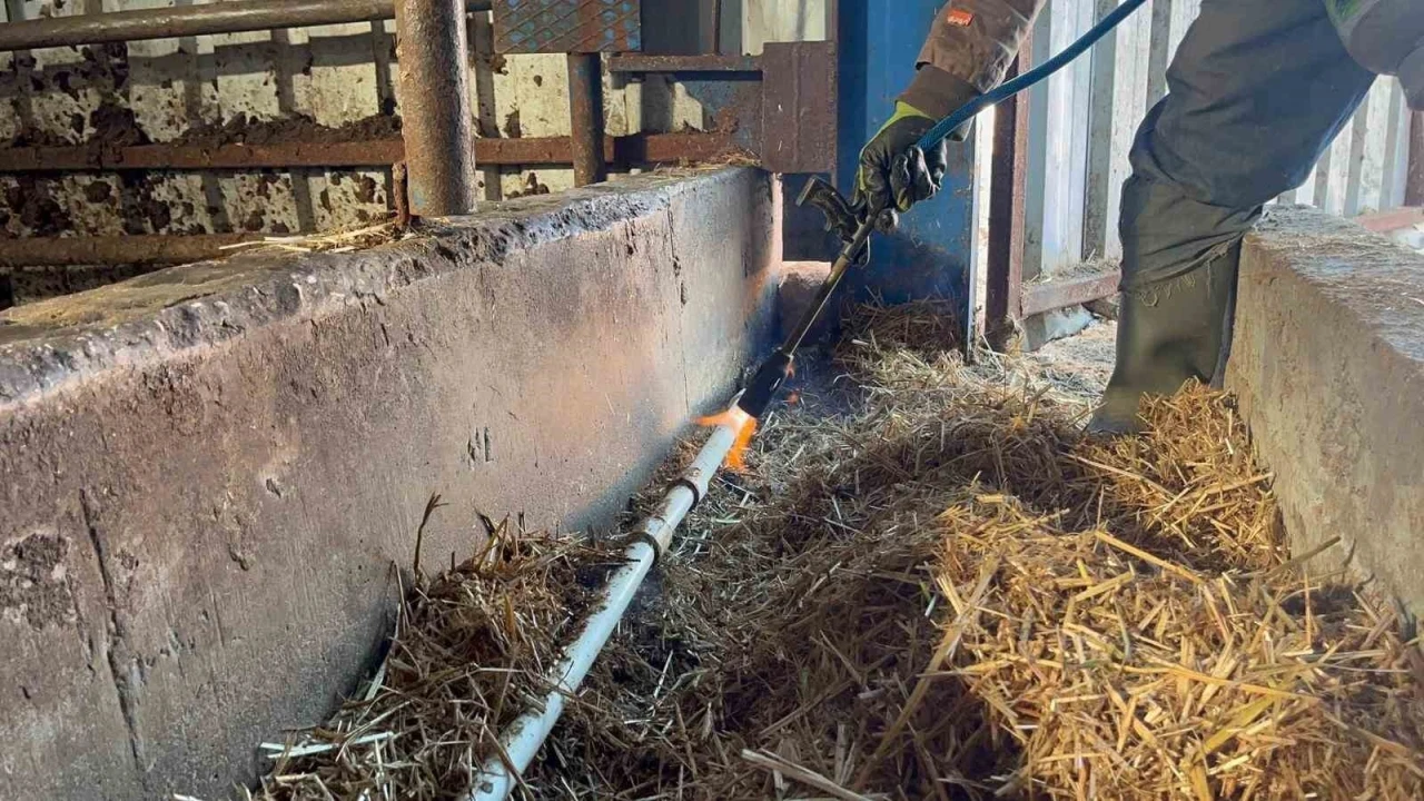 Besiciler donan su şebeklerini a&ccedil;mak i&ccedil;in uğraşıyor
