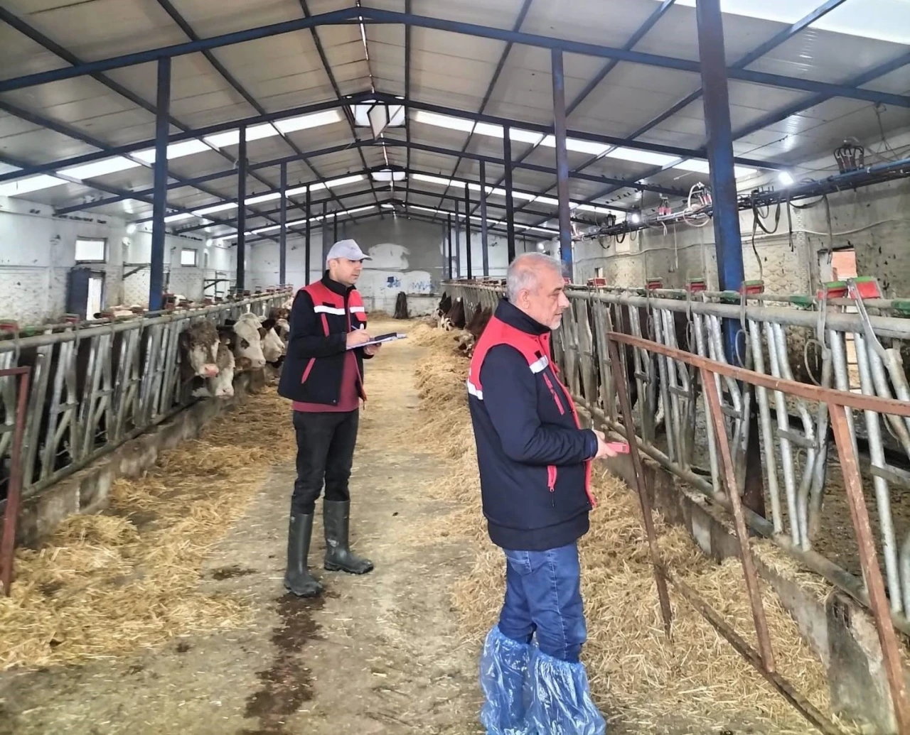 Besicilik işletmelerine y&ouml;nelik &lsquo;kapasite &ouml;l&ccedil;&uuml;mleri&rsquo; devam ediyor
