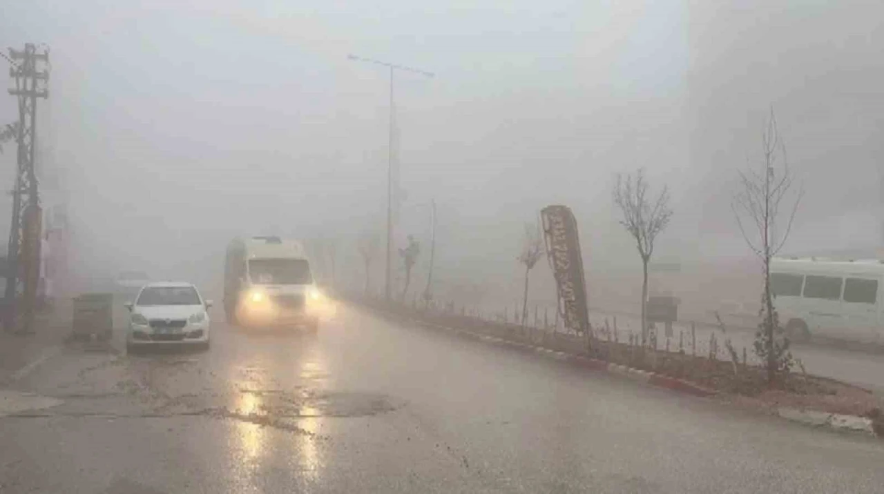 Besni’de yoğun sis etkili oldu
