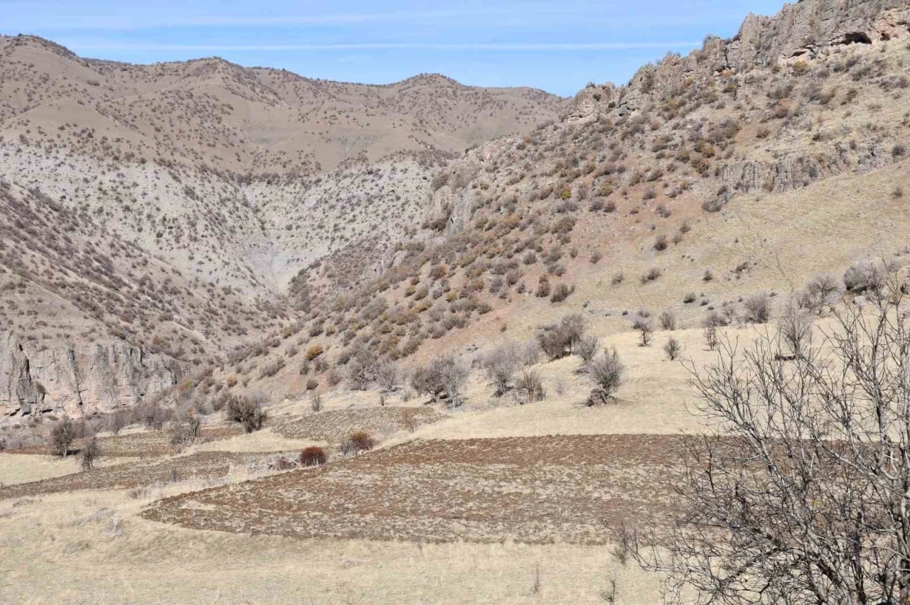 Bestler Dereler bölgesine 30 yıl sonra ilk kez yollar açılıyor
