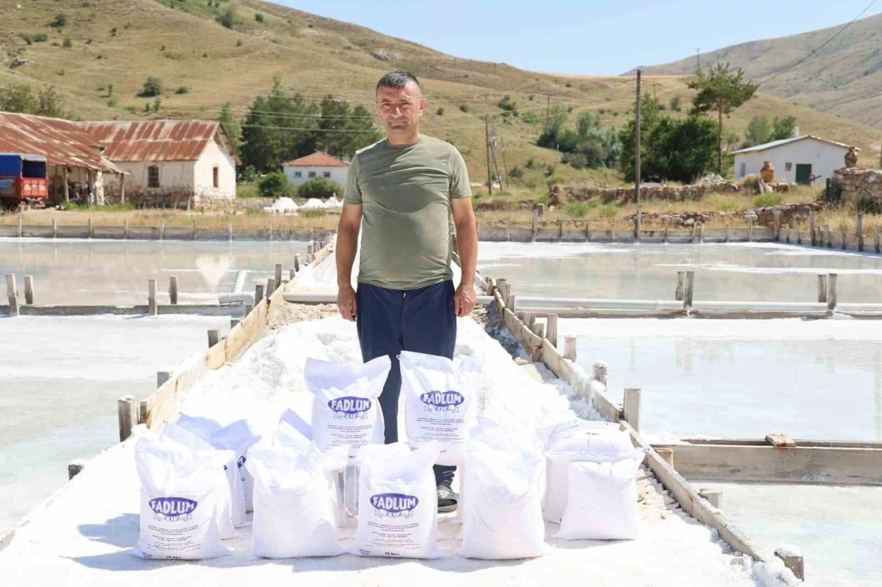Beyaz altın hasadı başladı
