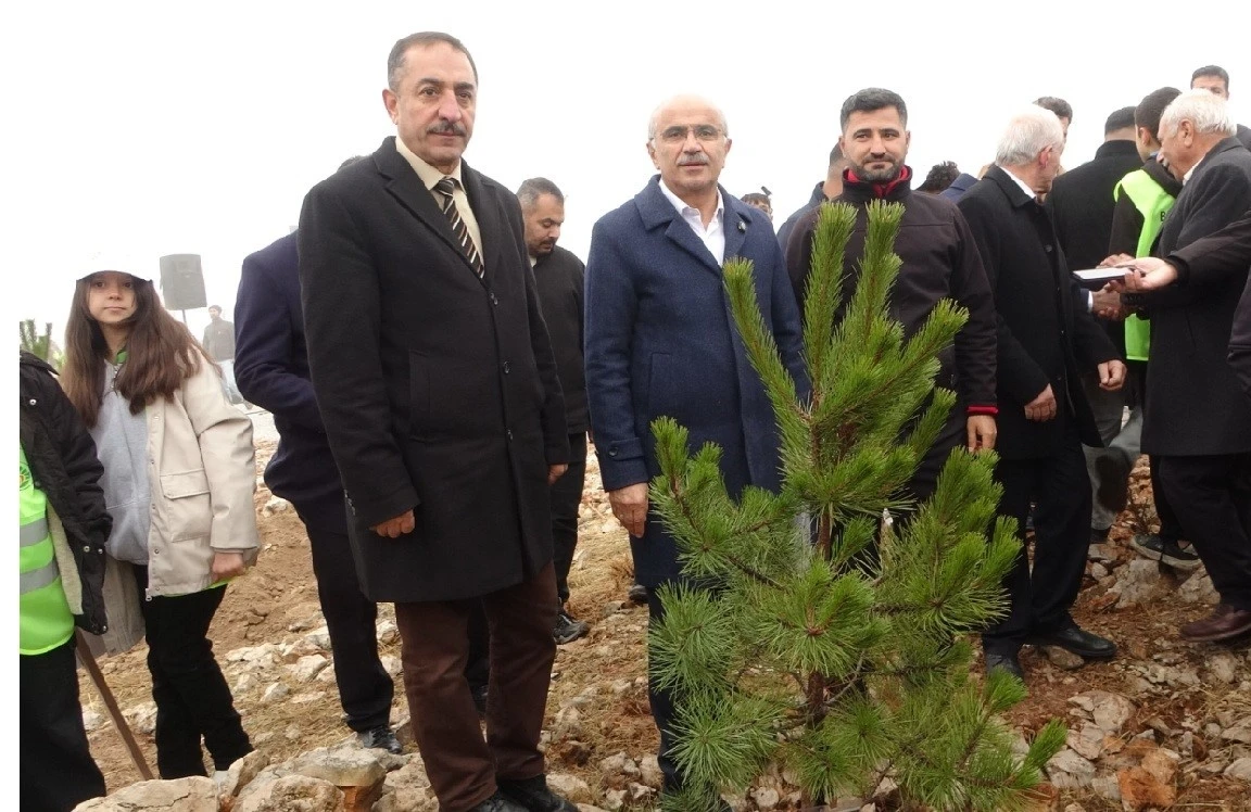 Beydağı’nın etekleri 10 bin 444 ağaçla geleceğe nefes oldu
