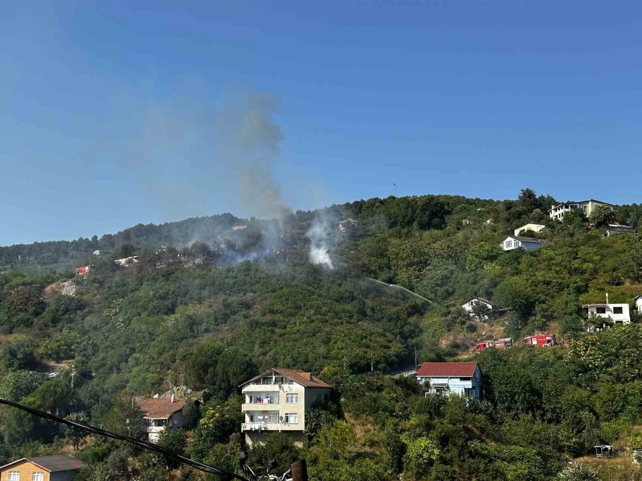 Beykoz’da ormanlık alanda çıkan yangın söndürüldü
