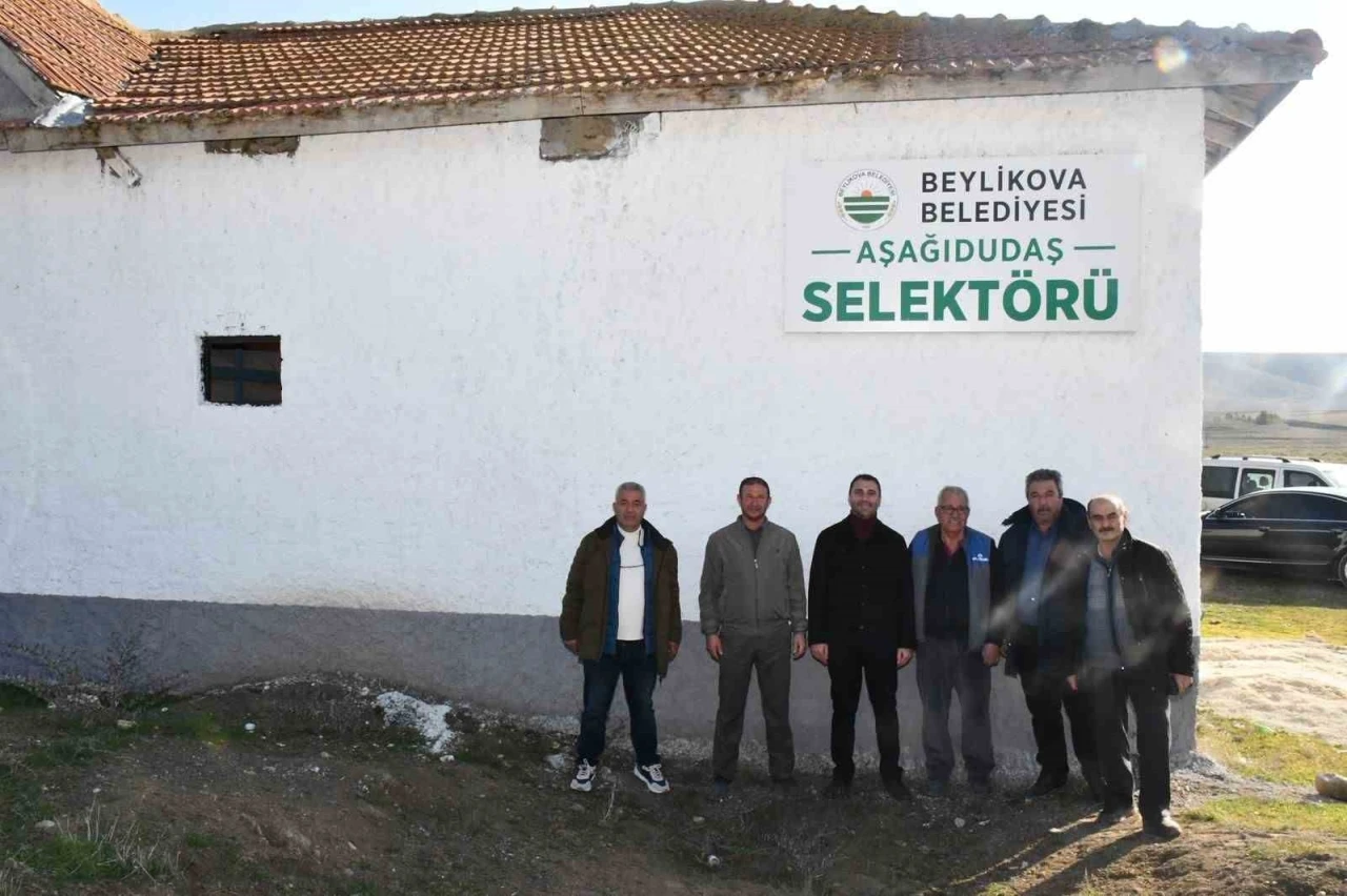 Beylikova Belediyesi&rsquo;nden Aşağıdudaş Mahallesi&rsquo;ne selekt&ouml;r tesisi
