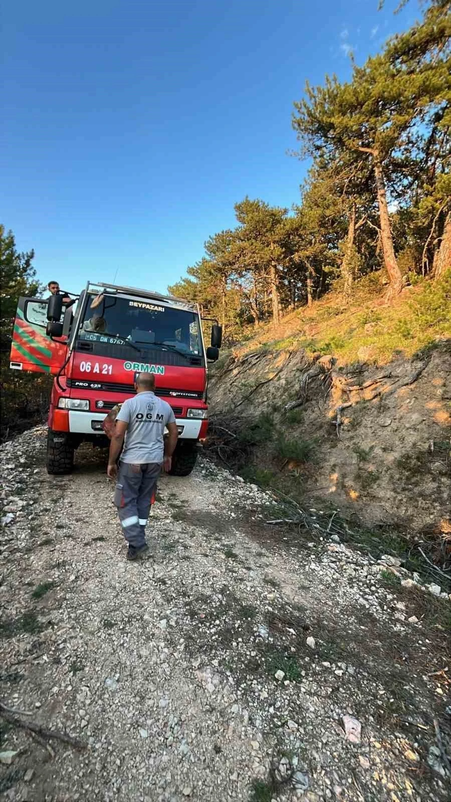 Beypazarı’nda orman yangını
