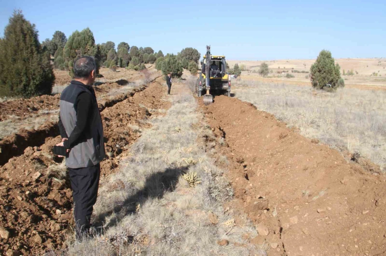 Beyşehir’de 11 bin orman fidanı daha toprakla buluşturulacak
