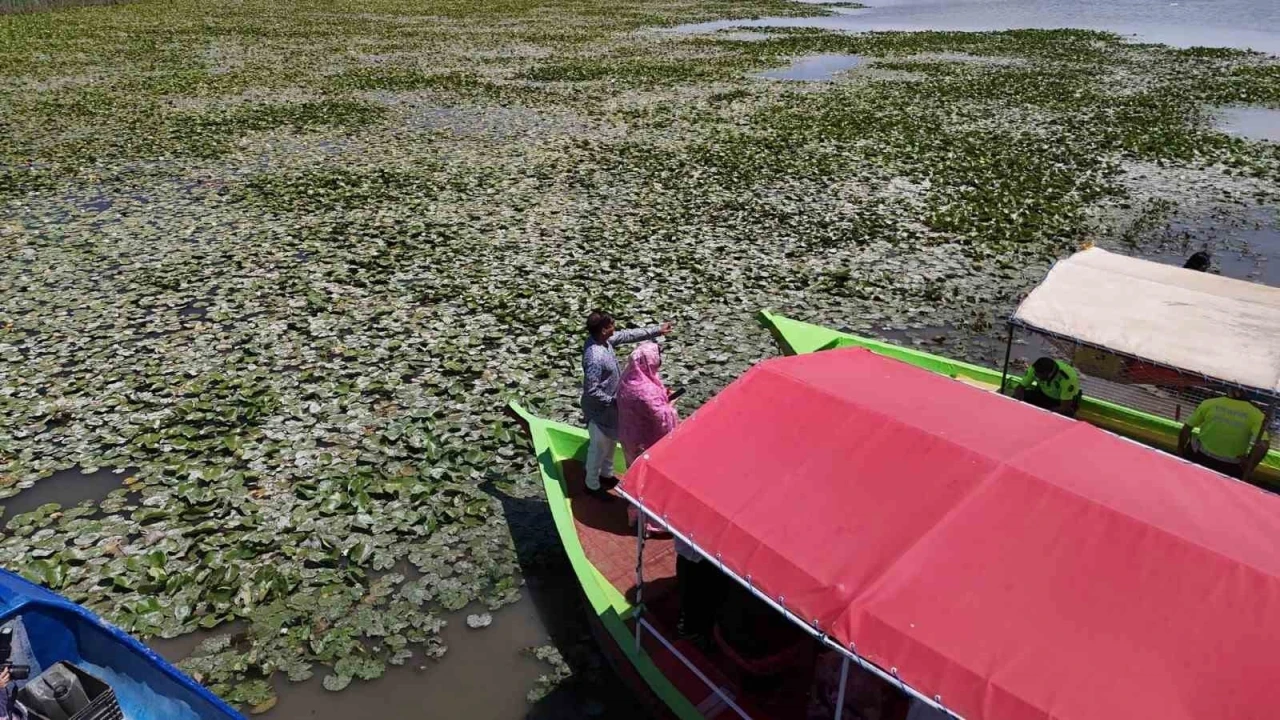 Beyşehir’de &quot;Bangladeş Su Nilüferi&quot; etkinlikleri
