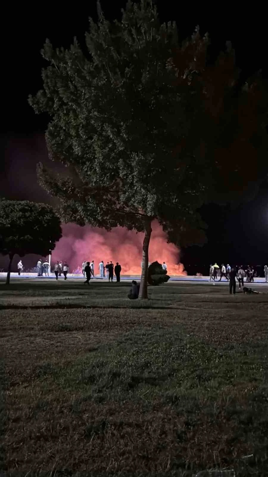 Beyşehir Gölü kenarında korkutan yangın
