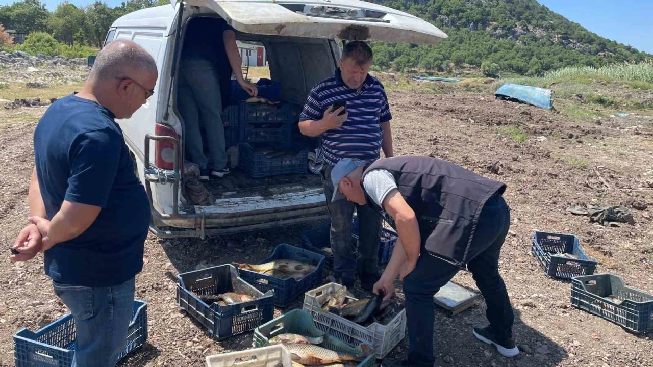 Beyşehir Gölü’nde yeni av sezonu başladı, denetimler sıkılaştırıldı
