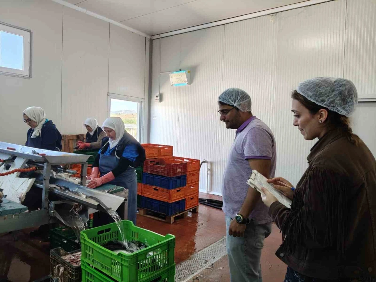 Beyşehir Gölüne kıyısı olan ilçedeki balık fabrikaları denetlendi
