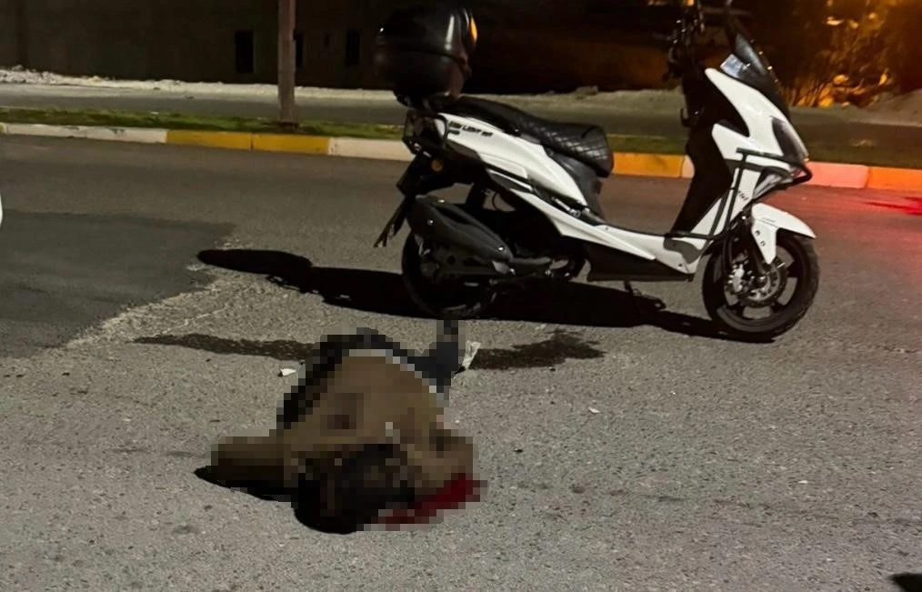Bıçaklandı, motosikletiyle hastaneye giderken hayatını kaybetti
