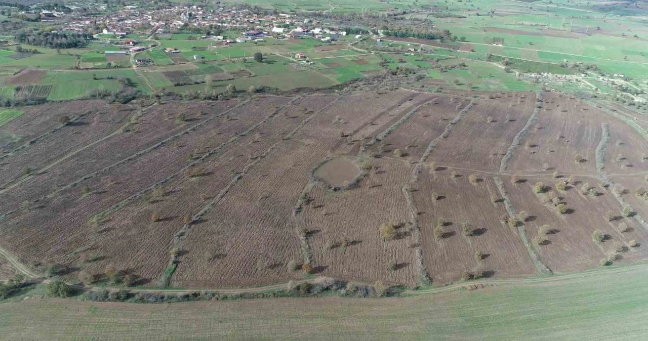 Biga’da proje çerçevesinde 2 yılda 845 dekar mera alanı ıslah edildi
