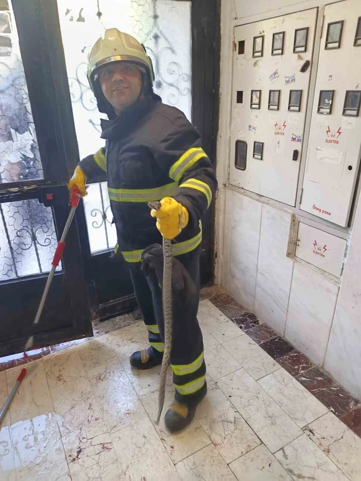 Bilecik’te bir apartmana giren yılan itfaiye ekiplerince yakalandı
