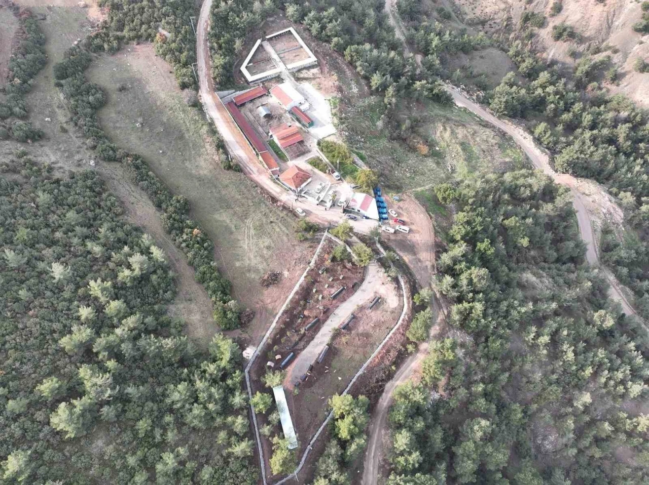 Bilecik&rsquo;te can dostlar emin ellerde
