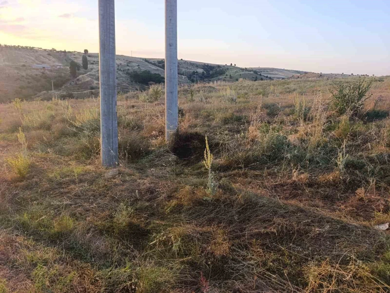 Bilecik&rsquo;te elektrik akımına kapılan kuş yangına sebep oldu
