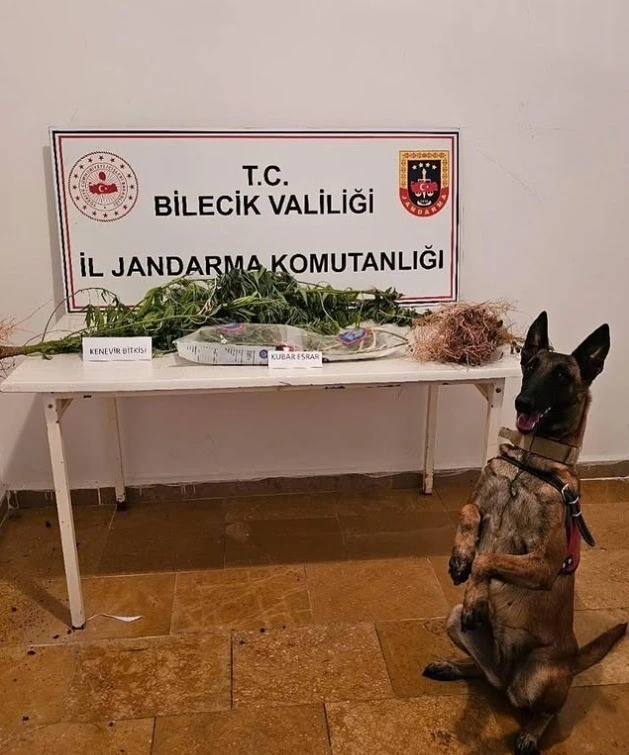 Bilecik’te uyuşturucu operasyonu
