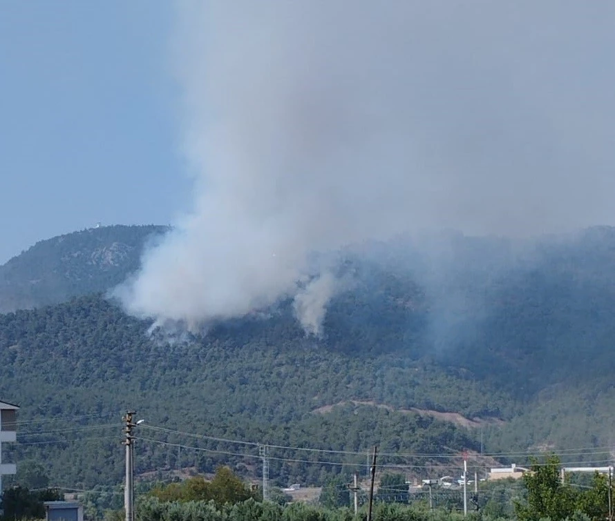 Bilecik’teki orman yangınında alevler Borcak köyüne doğru ilerliyor
