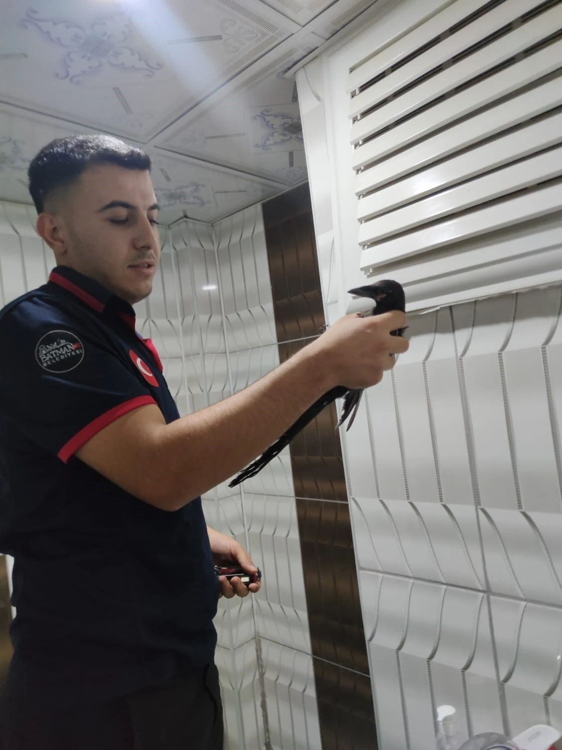 Binanın havalandırma boşluğunda mahsur kalan karga kurtarıldı
