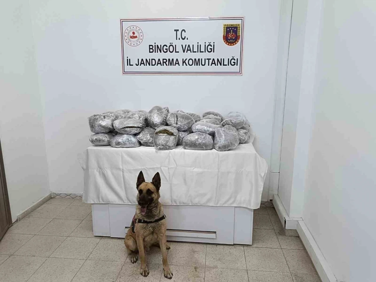 Bingöl’de 49 kilo esrar ele geçirildi
