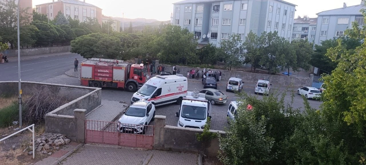 Bingöl’de bina yangını
