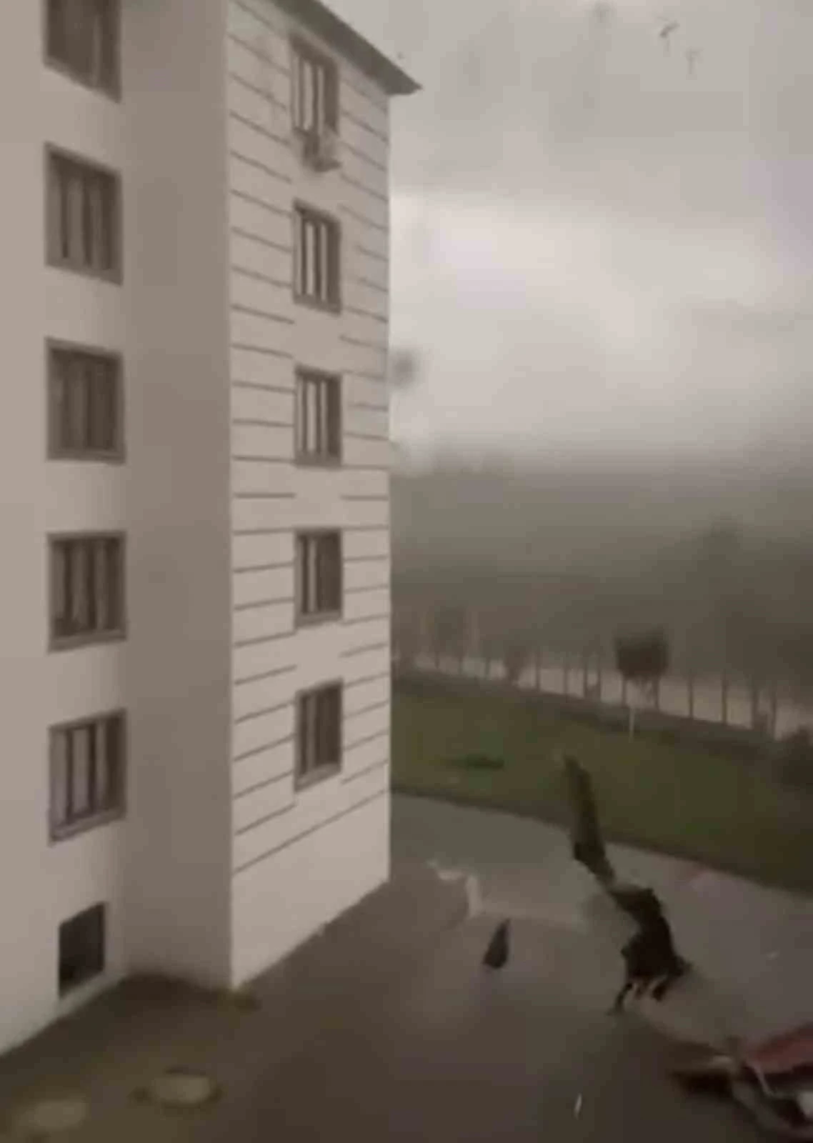 Bingöl’de fırtına etkili oldu: Çatıdan kopan parça çocuğun üzerine düştü
