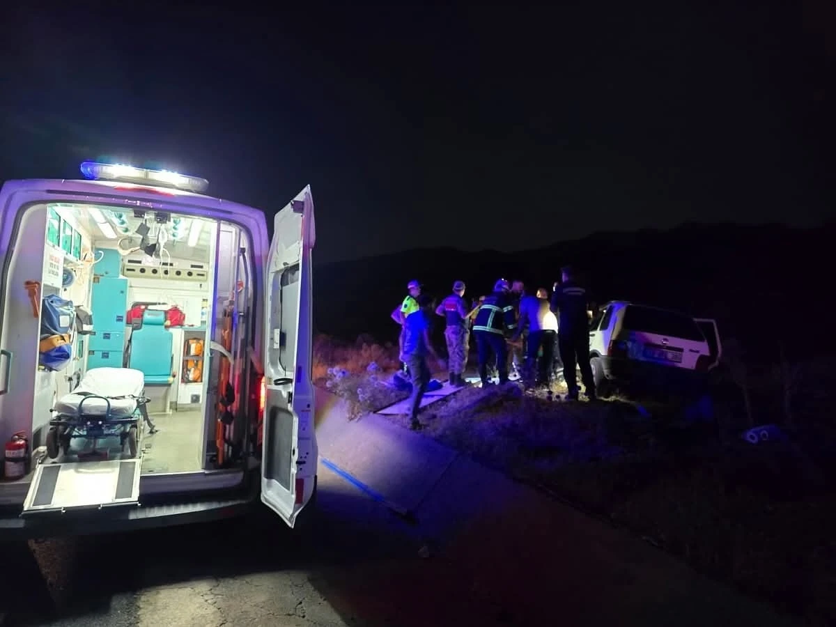 Bingöl’de otomobil ata çarptı: 2 yaralı
