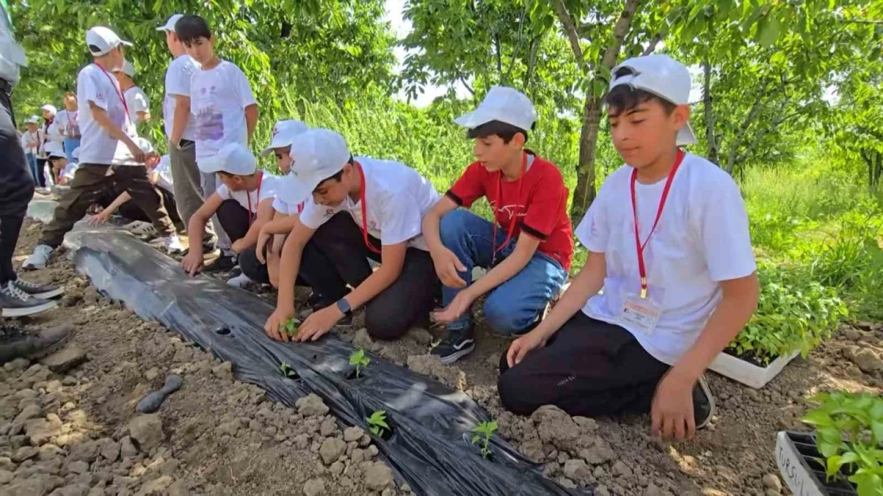 Bingöl’de TÜBİTAK 4004 başarısı

