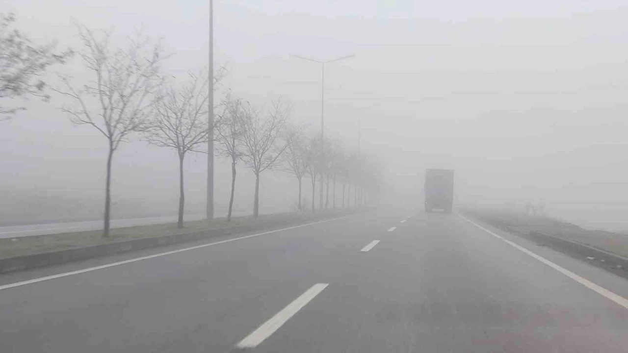 Bingöl’de yoğun sis etkili oldu
