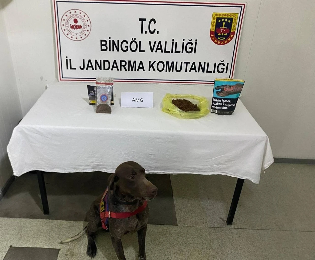 Bingöl’de yolcunun üzerinden bonzai çıktı
