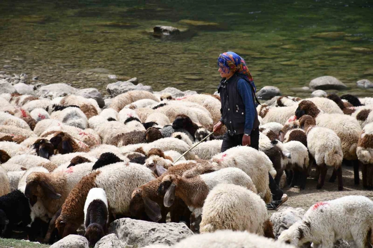 Bir çocuğun sessiz çığlığı: &quot;Hiç oyuncağım olmadı&quot;
