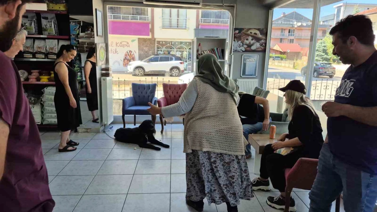 Bir yıl sonra &quot;çip&quot; sayesinde kavuştular
