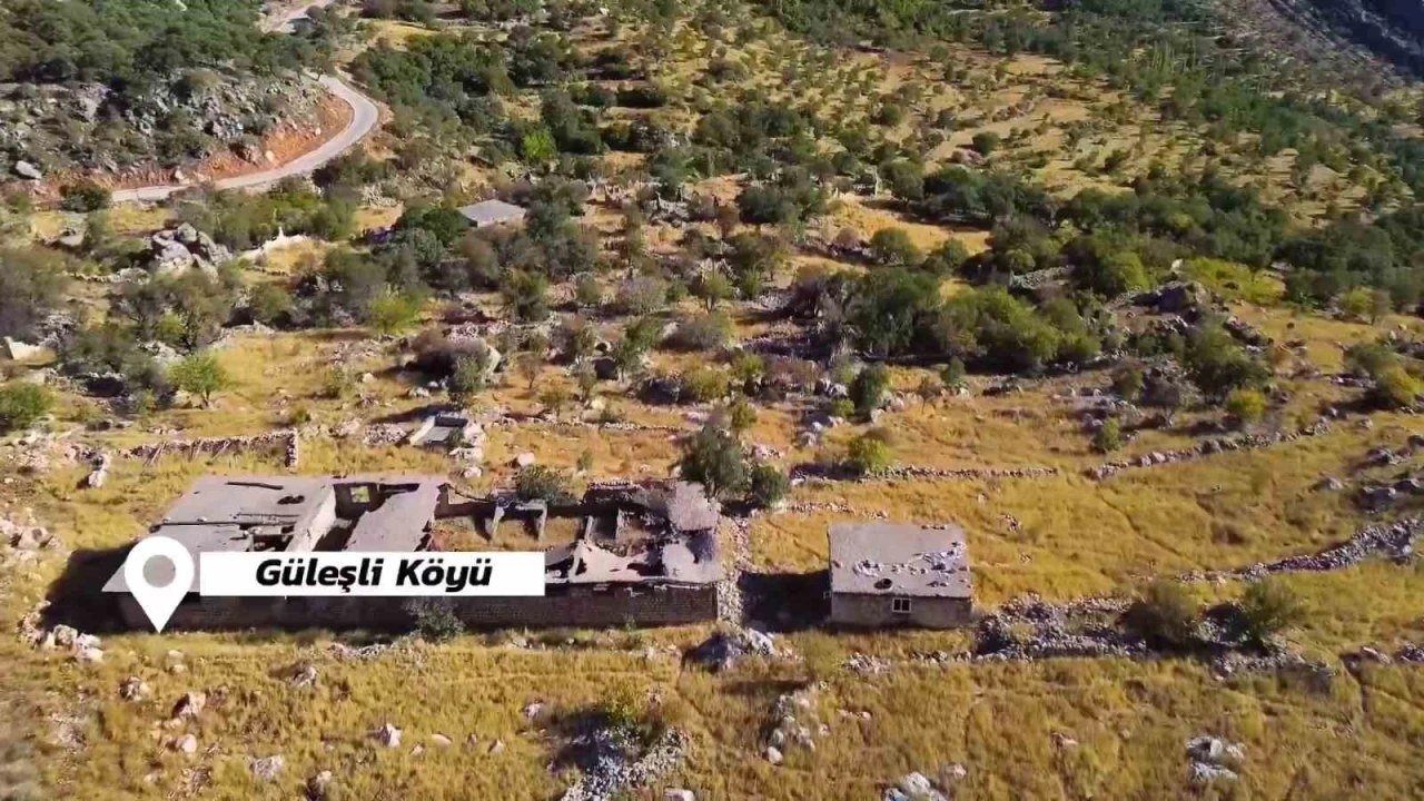 Bir zamanlar korkunun hakim olduğu Gabar’da şimdi umut ve üretim yükseliyor
