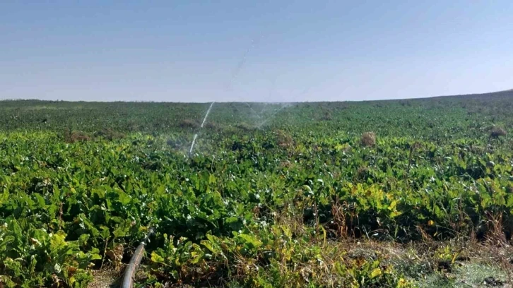 Bireysel sulama hibe desteği &ouml;demeleri tamamlandı
