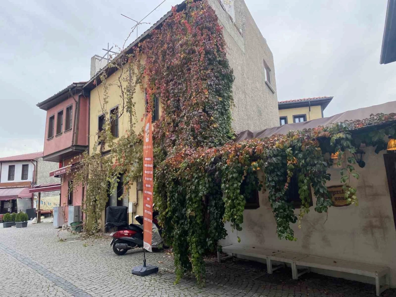 Bitkiler ile kaplanan tarihi yapı kartpostallık manzara oluşturuyor
